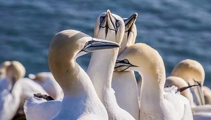 九游下载中心-女足世界杯开幕式精彩瞬间，女足世界杯开幕式精彩瞬间图片