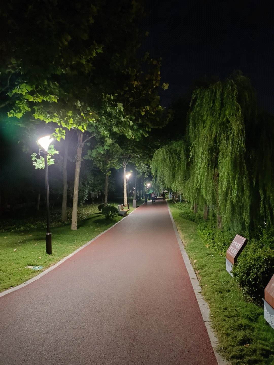特色夜跑比赛，点亮城市夜色